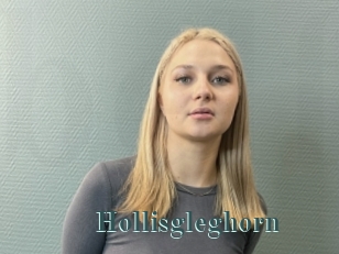 Hollisgleghorn