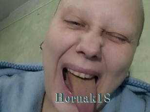 Hornak18