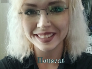 Houscat