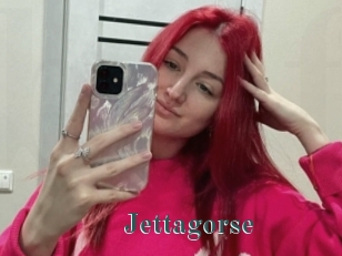 Jettagorse