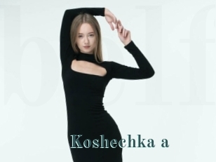 Koshechka_a