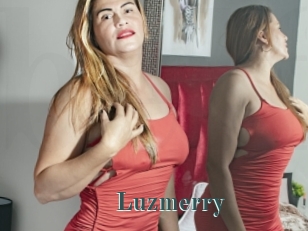 Luzmerry