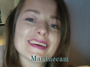 Martinecam