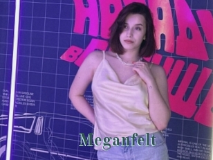 Meganfelt