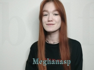 Meghanasp