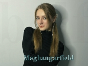 Meghangarfield