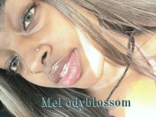 Mel_odyblossom