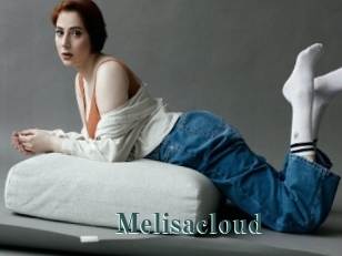 Melisacloud