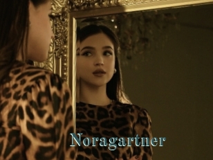 Noragartner