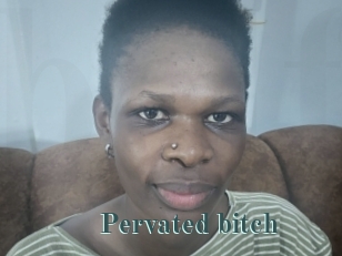 Pervated_bitch