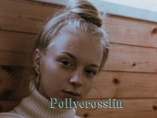 Pollycrosslin