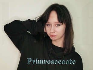 Primrosecoote