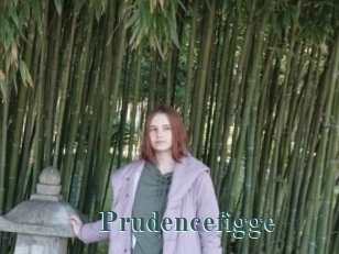 Prudencefigge