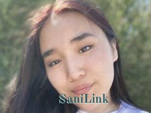 SaniLink