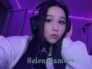 Selenagambee