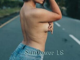 Sunflower_18