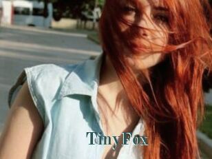 TinyFox