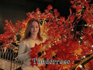 Tanderrose