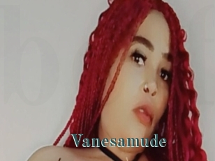 Vanesamude