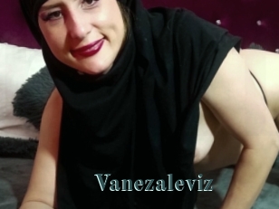 Vanezaleviz