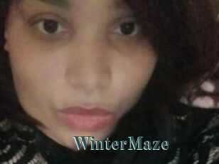 Winter_Maze