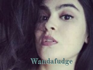 Wandafudge