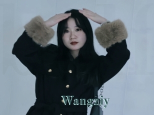 Wangziy