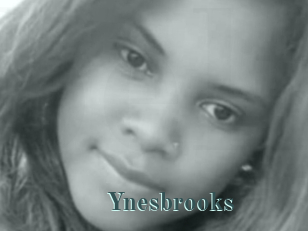 Ynesbrooks